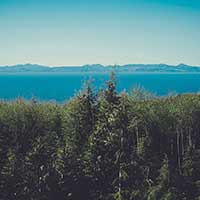 网站攻击工具手机版