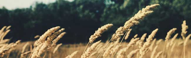 怎么去攻击一个网站与防护